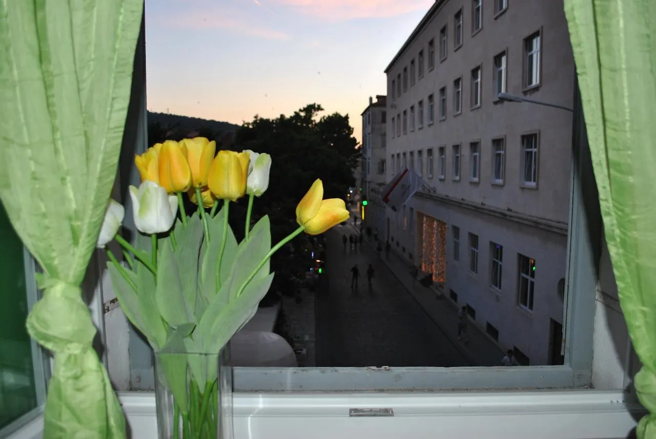Optimist Split/City Center Apartment